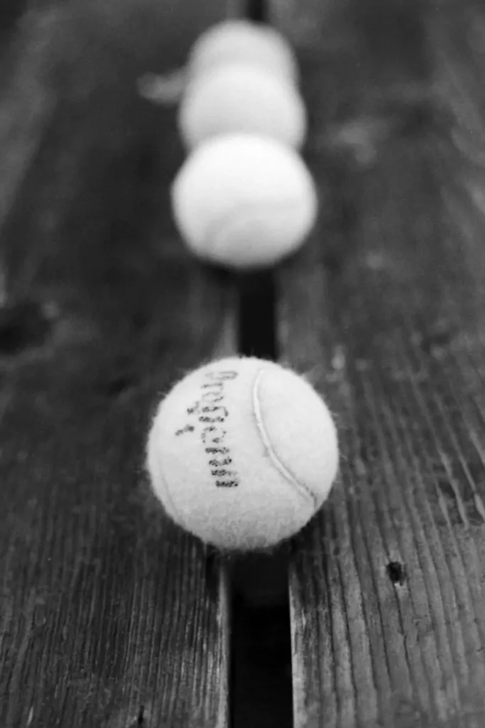 four tennis balls align on a bench