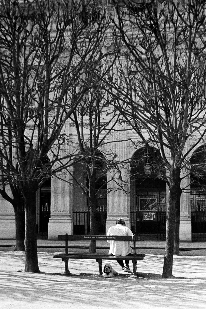 A man and his dog on a bench in Paris